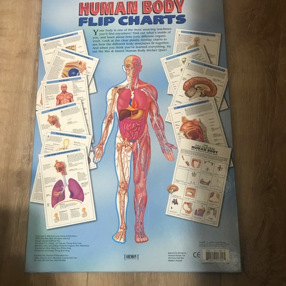 Vintage Hardcover The Incredible Human body flip chart Anatomy learning - Picture 2 of 4